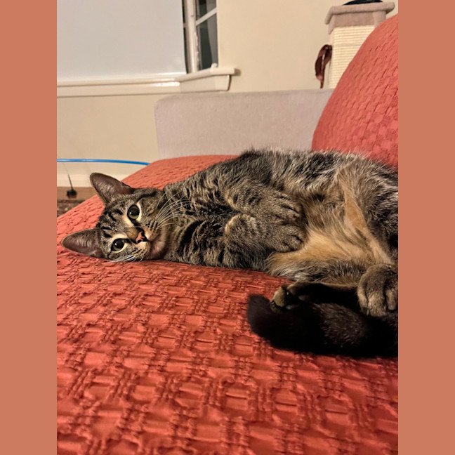 Photo of Lala