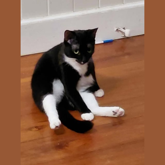 Photo of Astrid