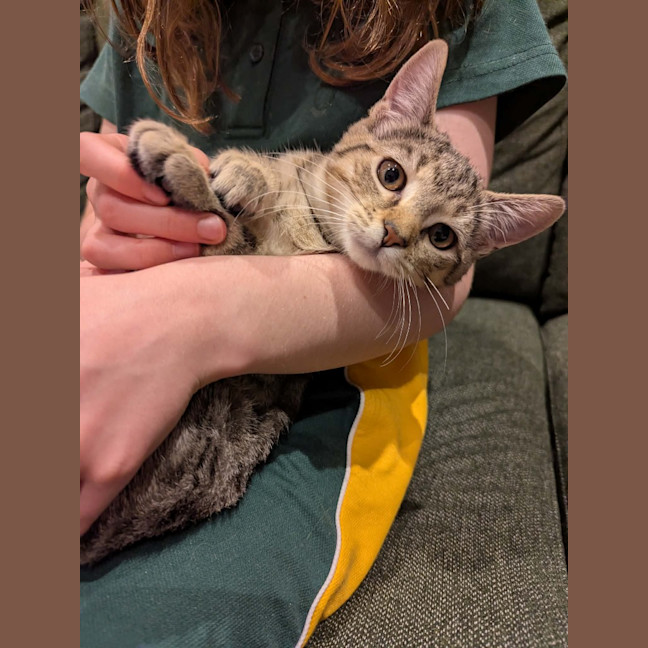 Photo of Fiona