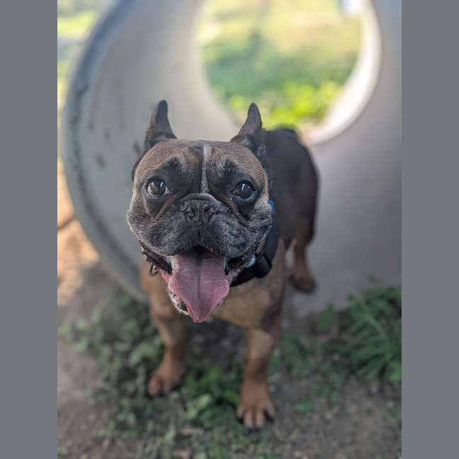 Photo of Axle