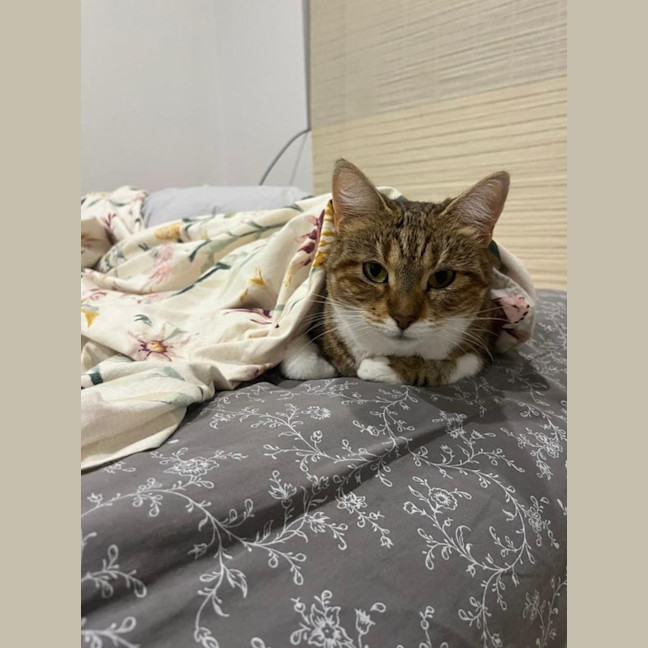 Photo of Princess Lilibet