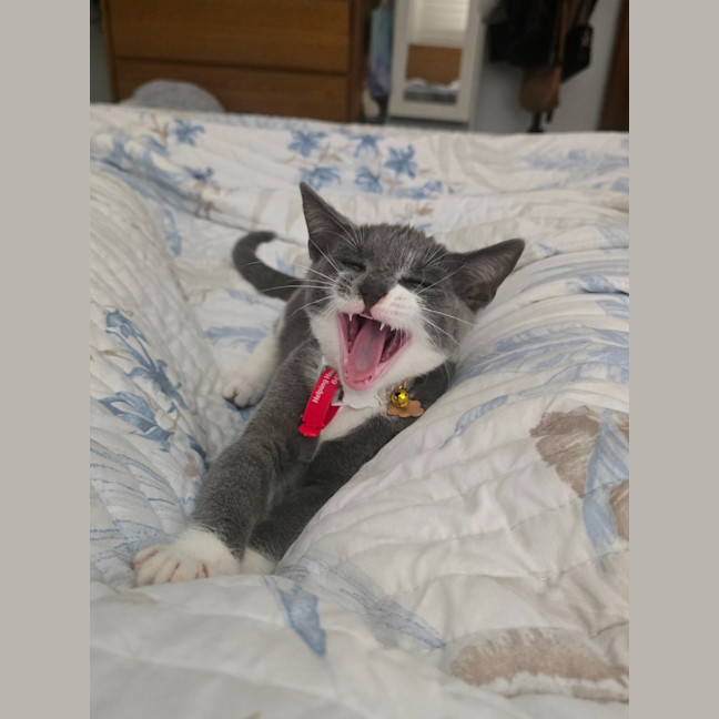 Photo of Celia