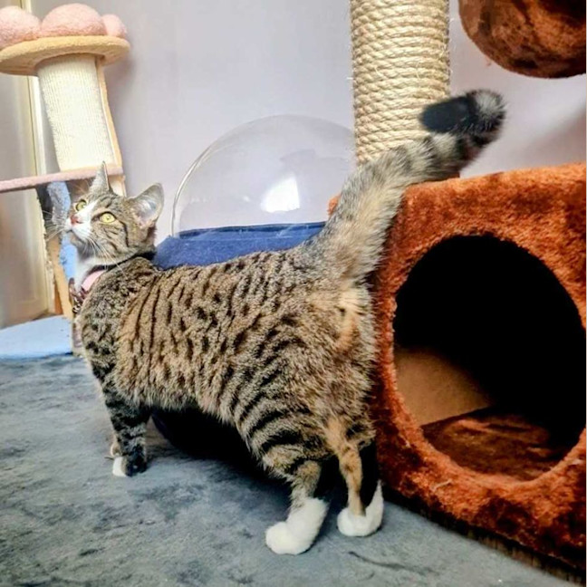 Photo of Octavia   Located In Fawkner