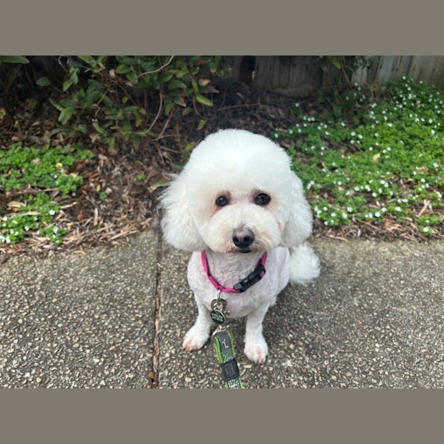 Photo of Oscar And Tilly Tamblyn