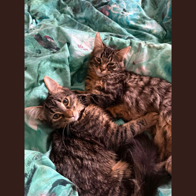 Photo of Lilly & Banjo