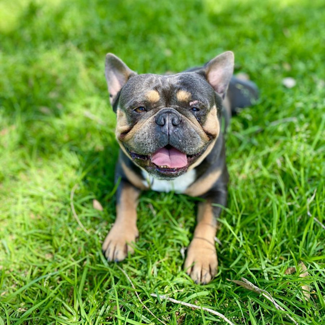 Photo of Milo
