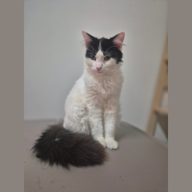 Photo of Daphne 