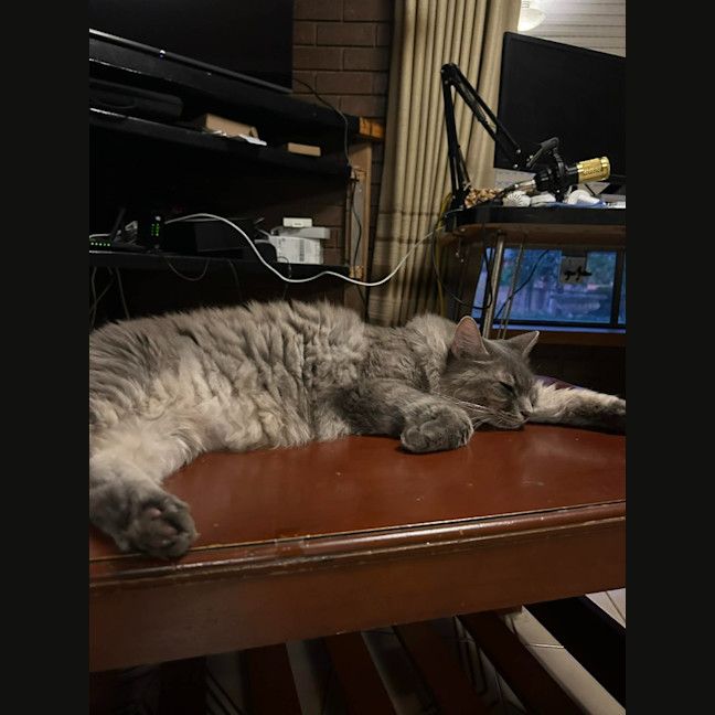 Photo of Pierre