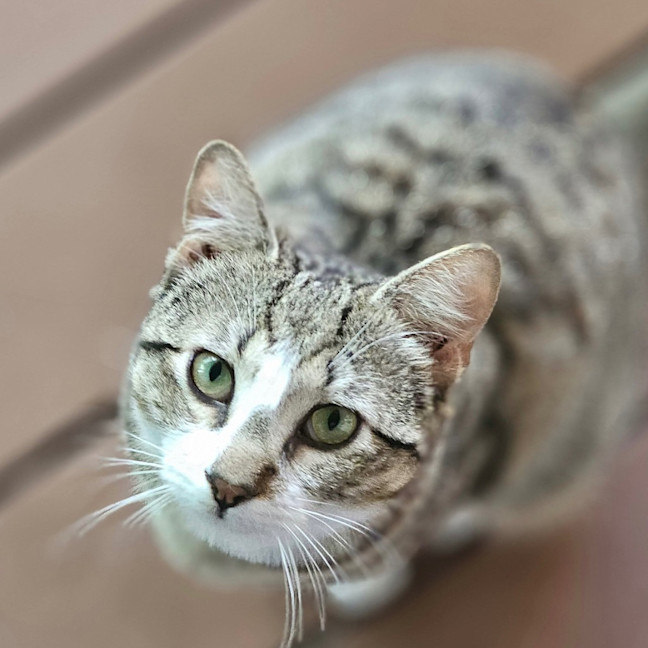 Photo of Billy