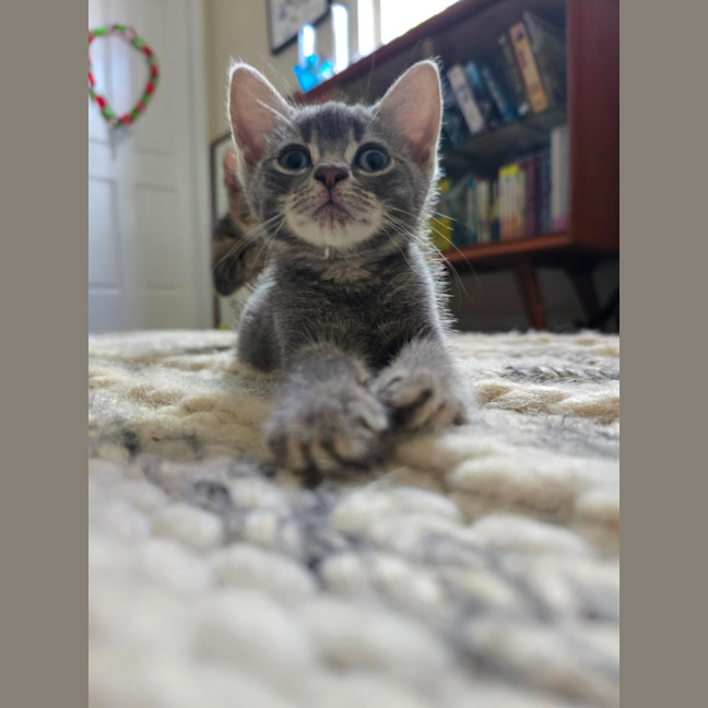 Photo of 🧡 Magnus 🧡