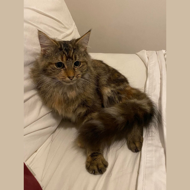 Photo of Astra 