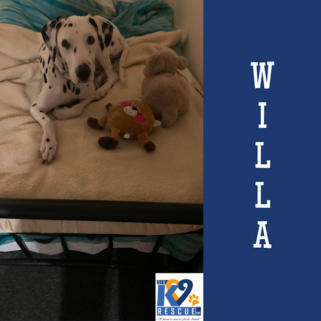 Photo of Willa