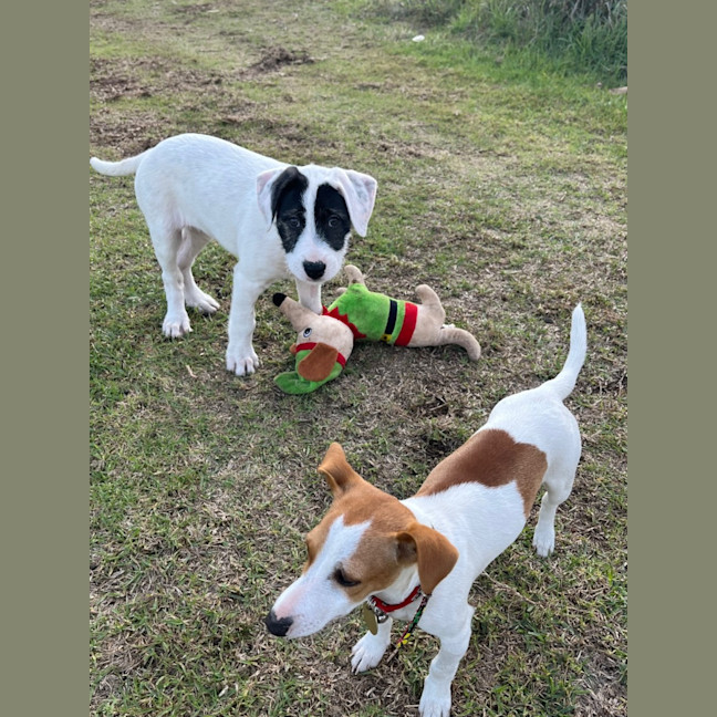 Photo of Tia Leighdara