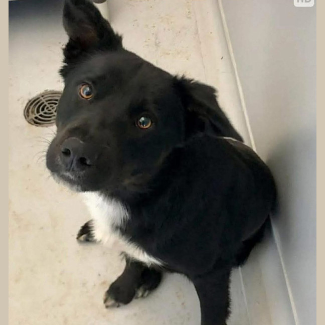 Photo of Augustus May Who