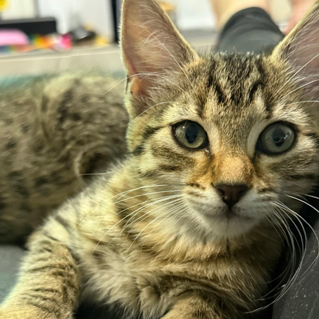 Photo of Bonnie 🍇