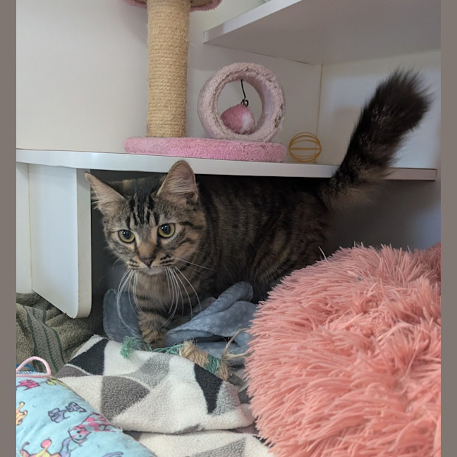 Photo of Evie