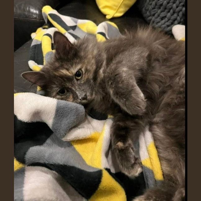 Photo of Freya May 