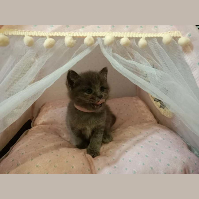 Photo of Woozi