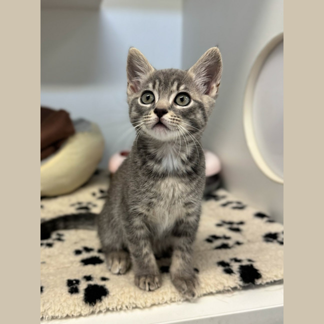 Photo of Monty
