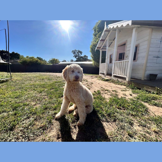 Photo of Stella Valenti