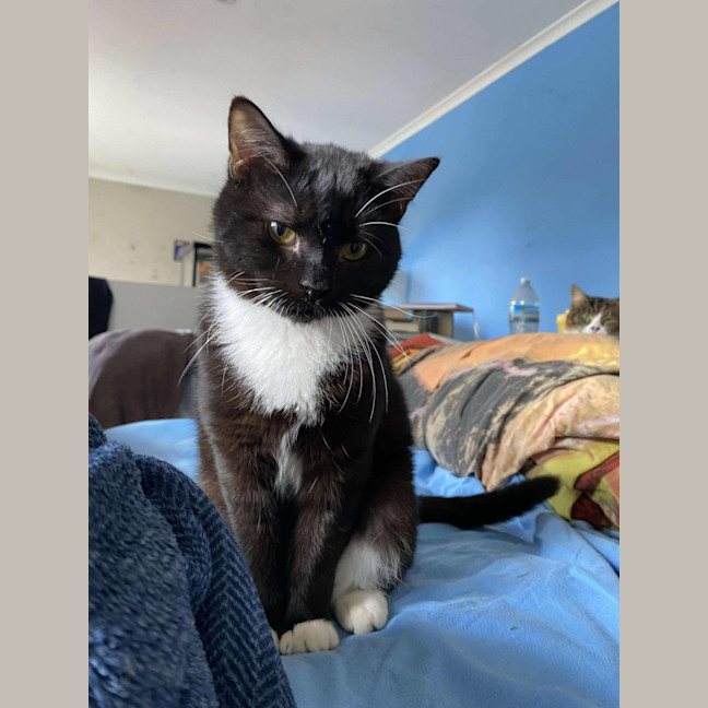 Photo of Nibbles & Moth