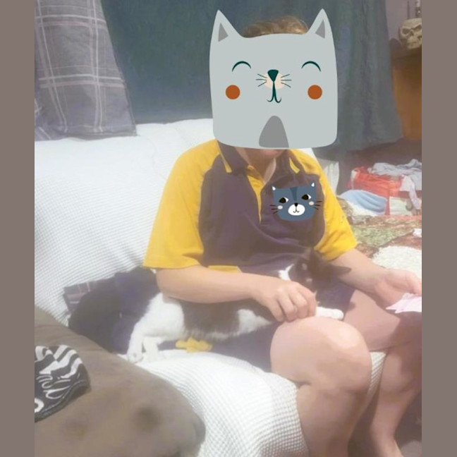 Photo of Bessie *9 Lives Project Rescue*