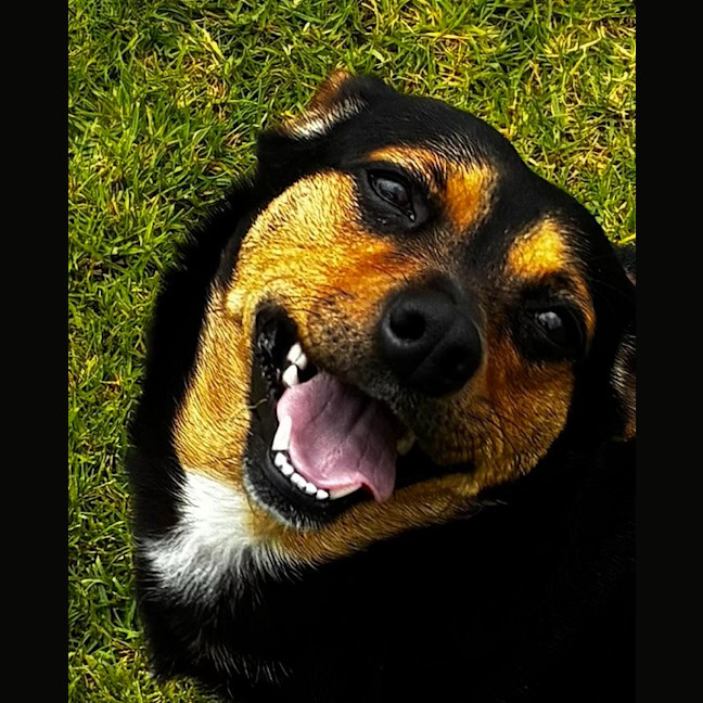 Photo of Kadie