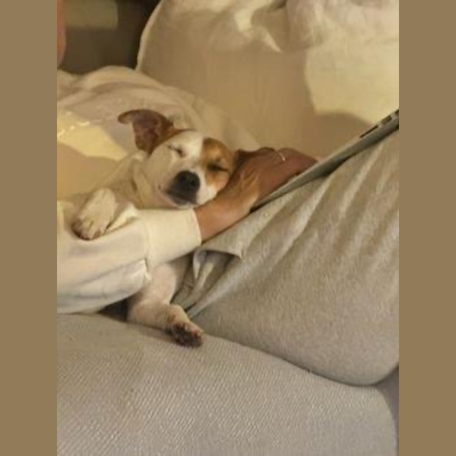 Photo of Jacky Chan Peggotty