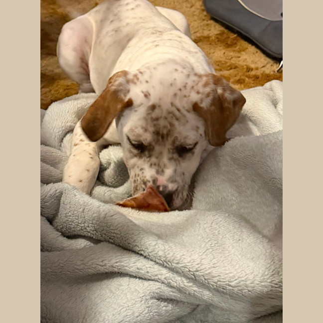 Photo of Cinnamoroll