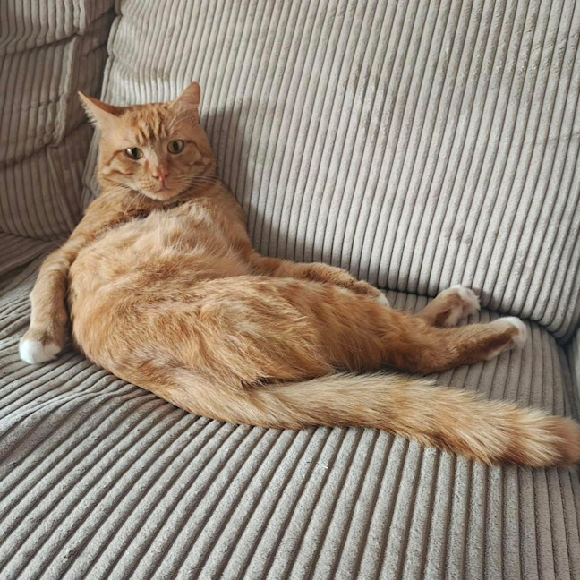 Photo of 13287   Raion