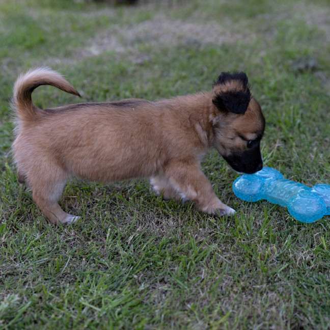 Photo of Mabel
