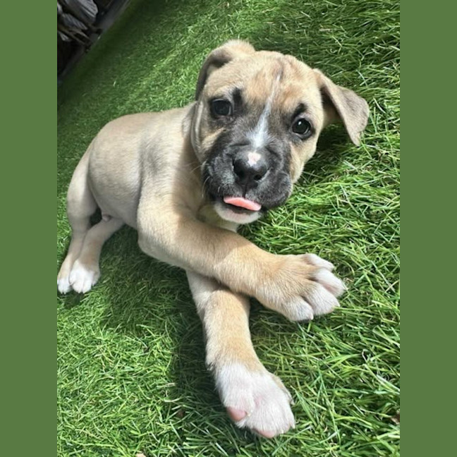Photo of Lenny