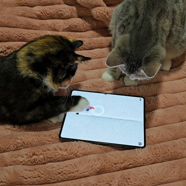 Photo of Button