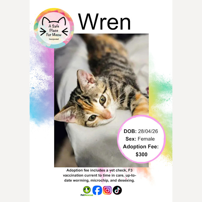 Photo of Wren