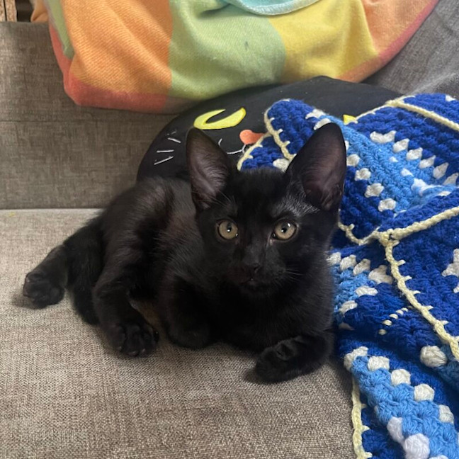 Photo of Junior