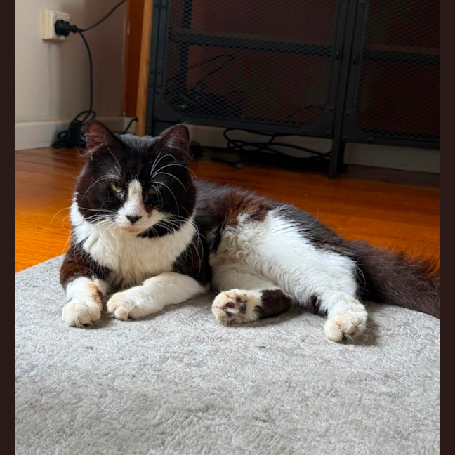 Photo of Jimmy Boy 