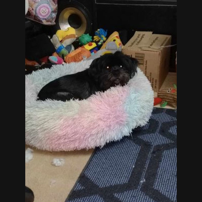 Photo of Bearboo And Melli