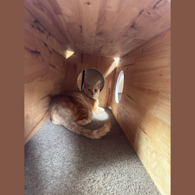 Photo of Honey