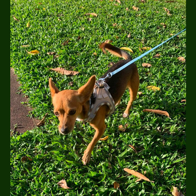 Photo of Tiny