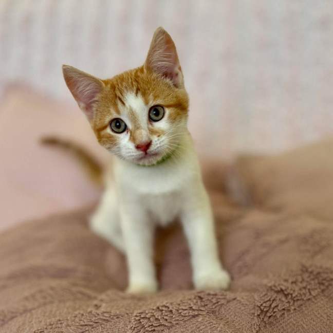 Photo of Zoe   In Foster Care In Croydon