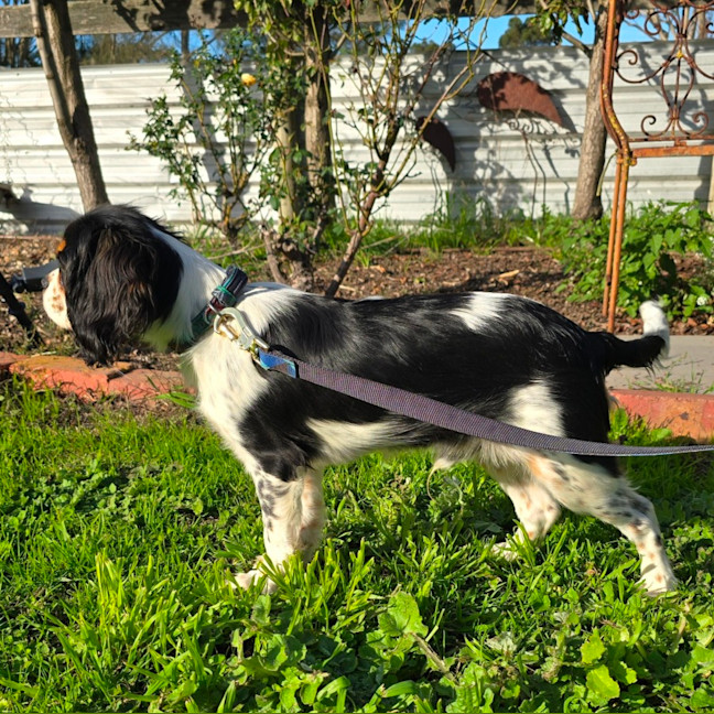 Photo of Flash