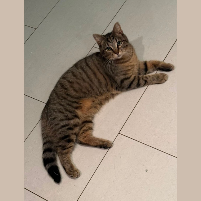 Photo of Peggy