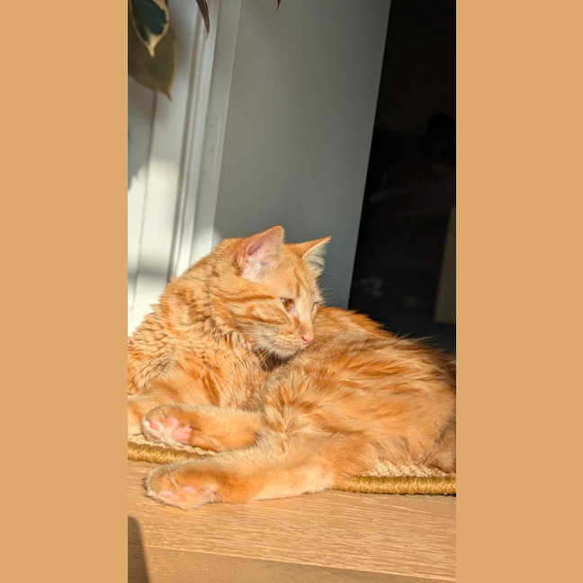 Photo of Barnaby & Rosie 