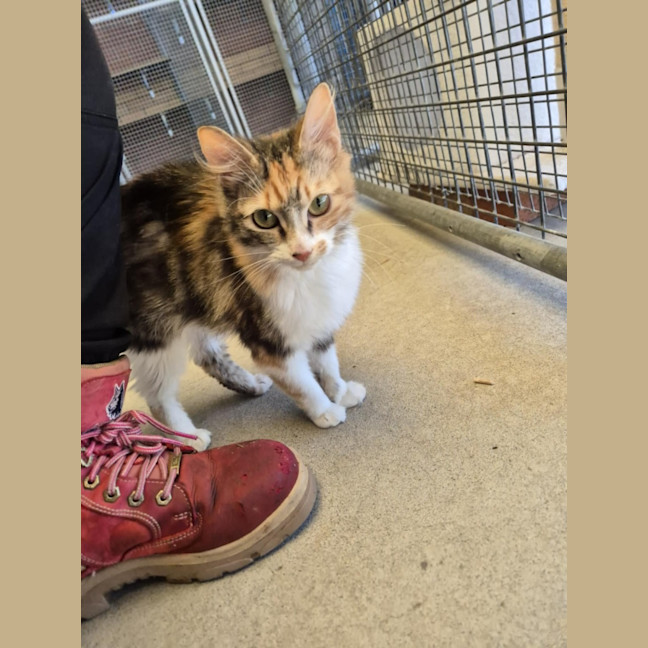 Photo of Maree! 🎀