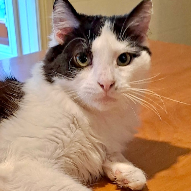 Photo of Alistair