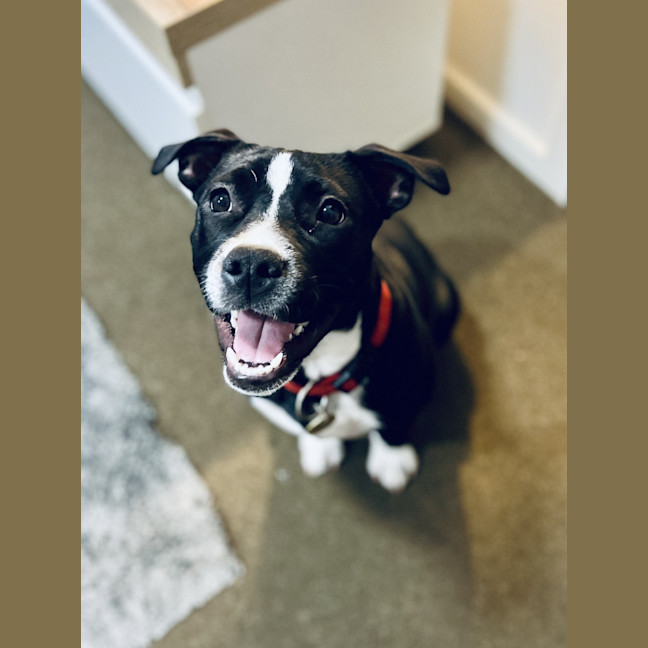 Photo of Ziala