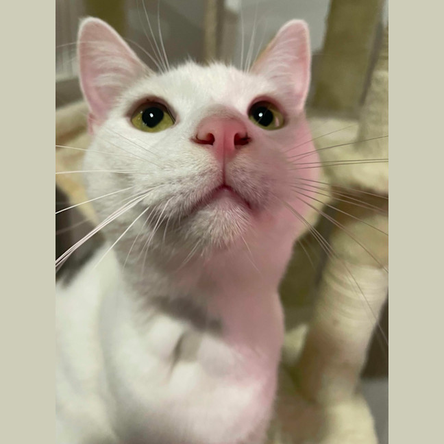 Photo of Wilson 🤍