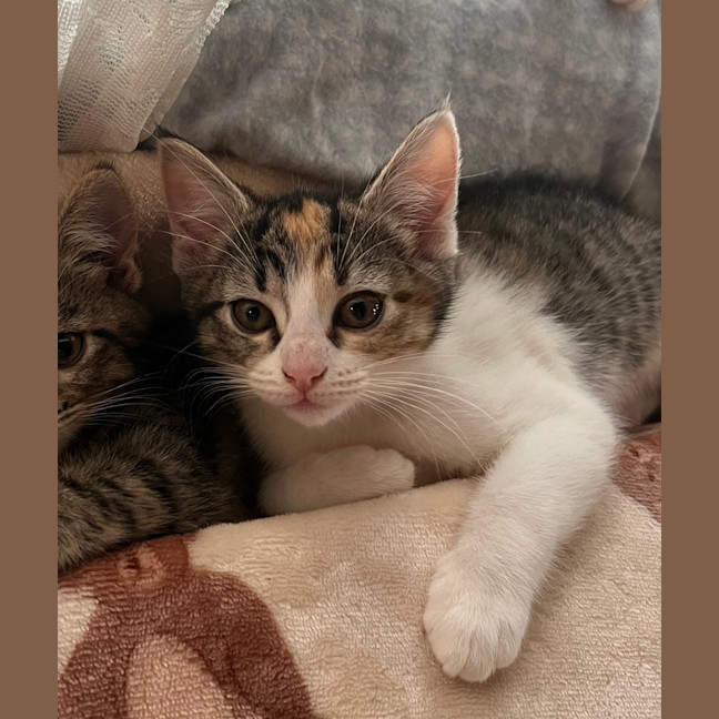 Photo of Kiki   Penelope