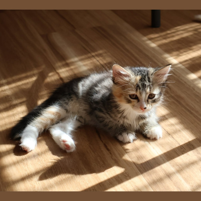 Photo of Katie