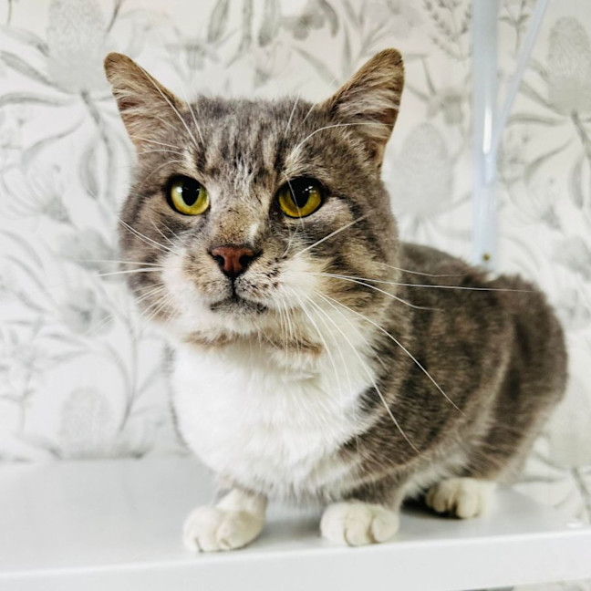 Photo of Bubbles   Located In Preston